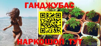 трава Партизанск